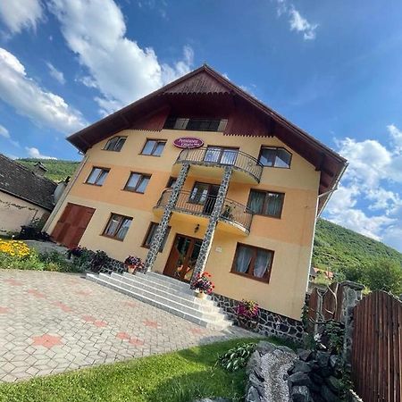 Pensiunea Vatafu Gura Rîului Exterior foto