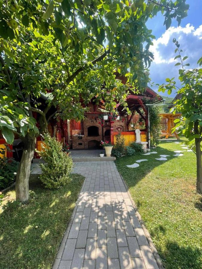 Pensiunea Vatafu Gura Rîului Exterior foto
