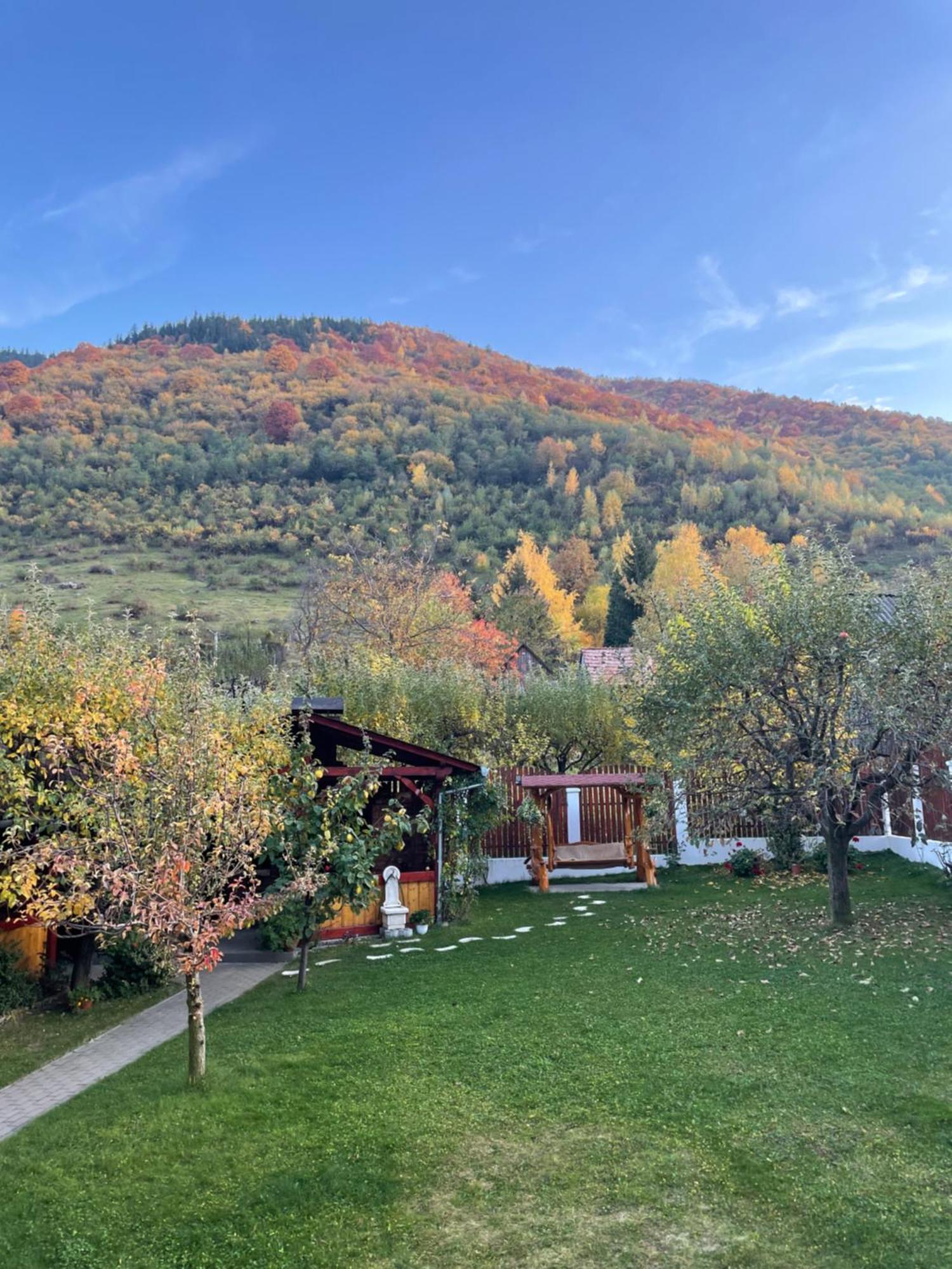 Pensiunea Vatafu Gura Rîului Exterior foto